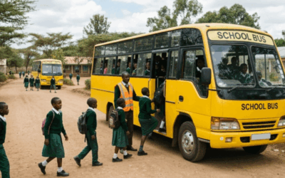 How Often Should Schools Review Transport Data?